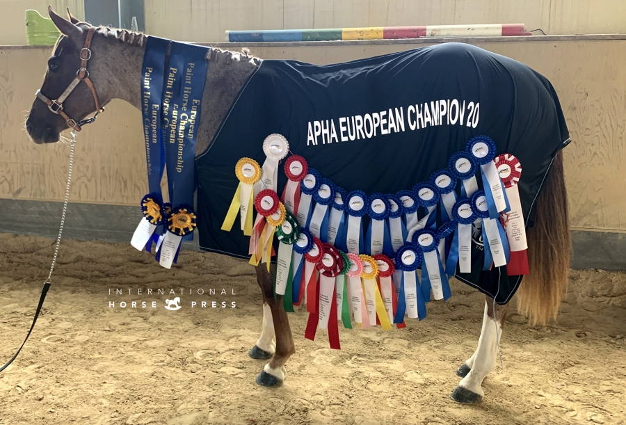2022 APHA European Paint Championships Highlights