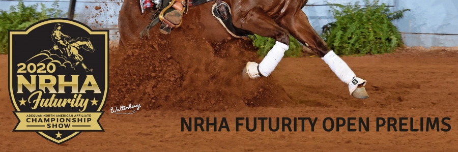 National Reining Horse Association (NRHA) Open Futurity Prelims