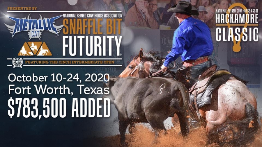 2020 Metallic Cat National Reined Cow Horse Snaffle Bit Non Pro Champions