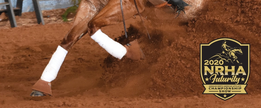 Tish Fappani Tops National Reining Horse Association CINCH Non Pro Futurity Preliminary Round