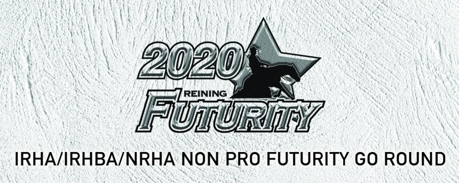 Vittorio De Iulio Sweeps the Quarter Dream IRHA/IRHBA/NRHA 3-year-old Non Pro Futurity Go Round