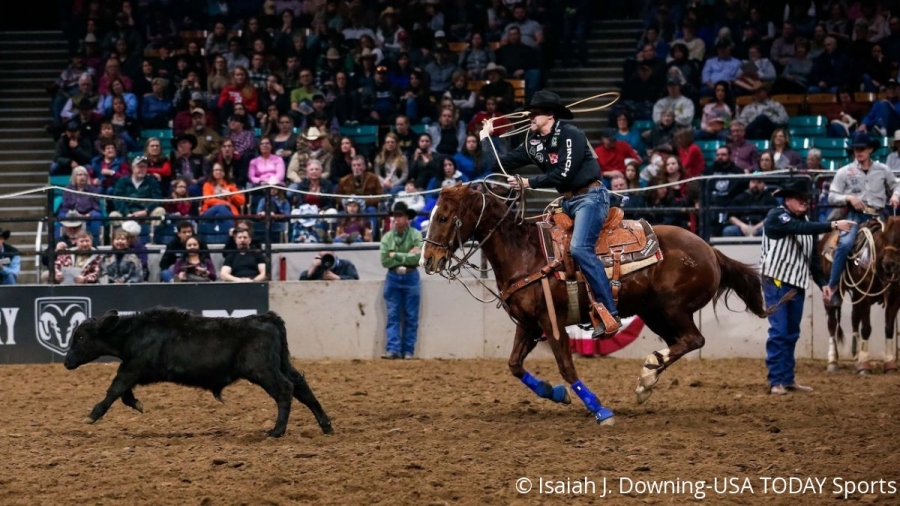 Denver: 5 Things We Noticed At The National Western Stock Show