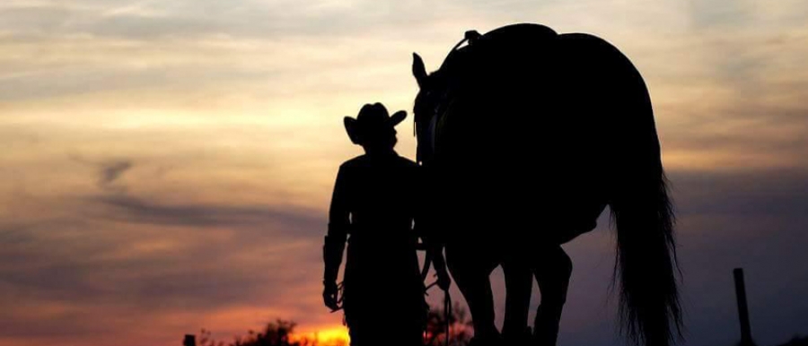 The Nutrena Don Burt AQHA Professional Horseman of the Year, Nutrena AQHA Professional Horsewoman of the Year and Most Valuable Professional awards will be recognized later this year.